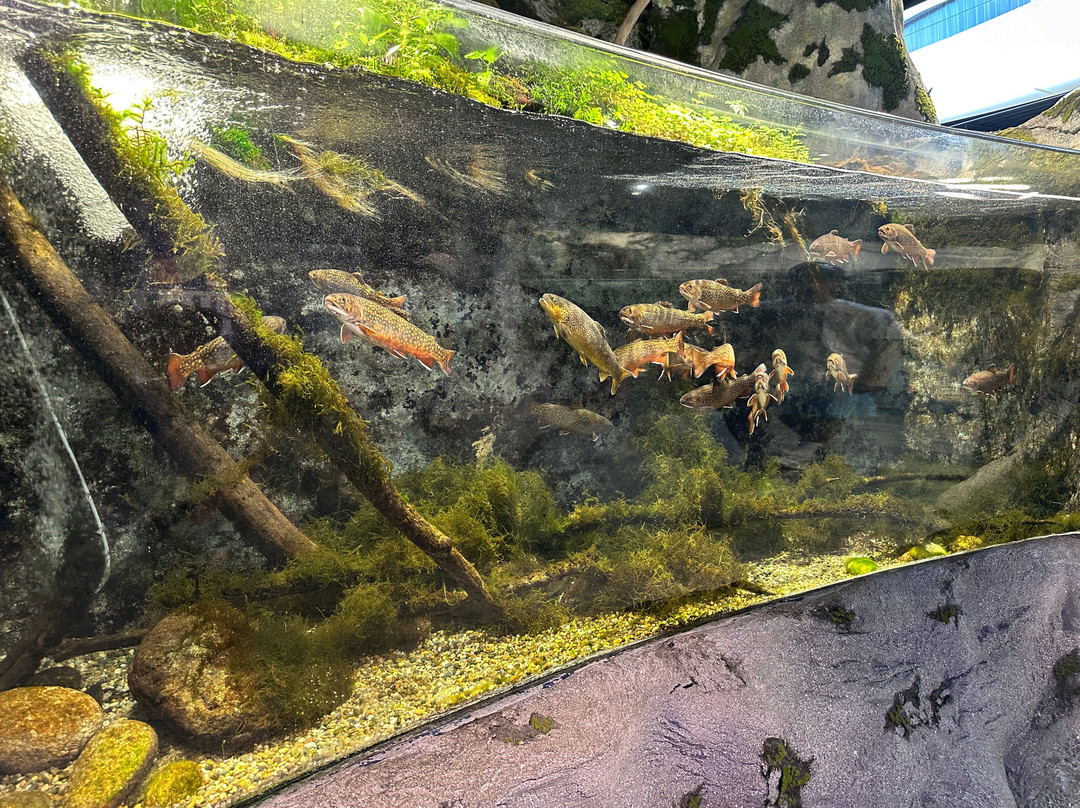 Aquarium Oniria-卡内鲁西永必去景点