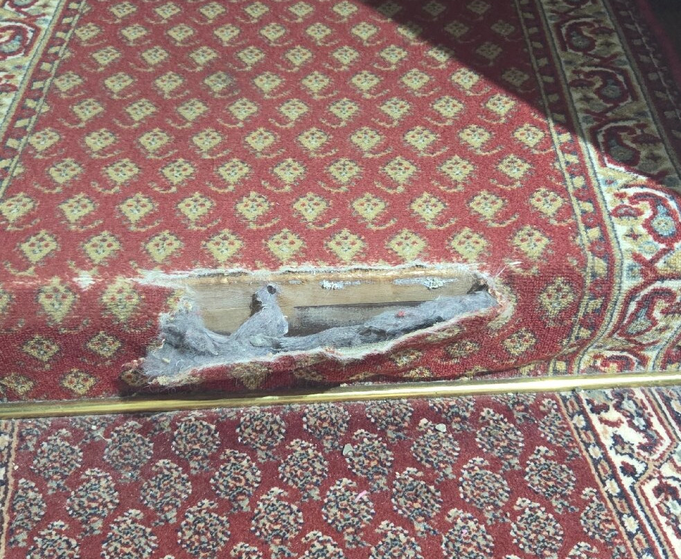 Hotel Jean XXII主图