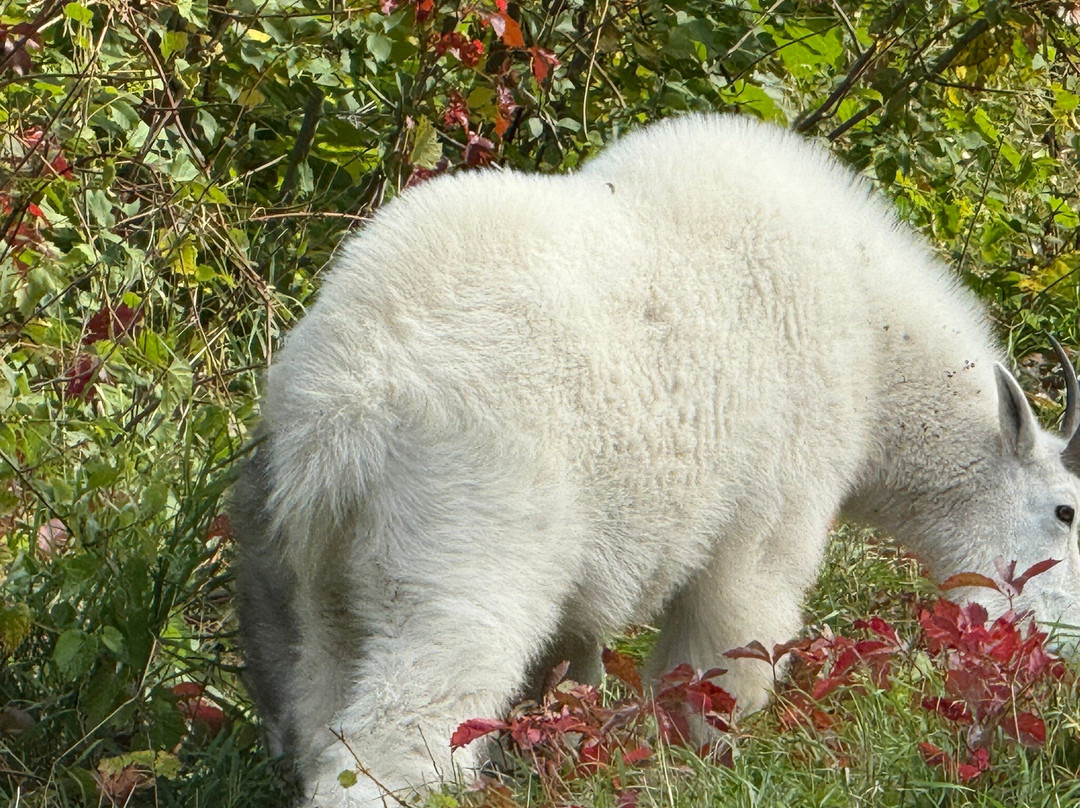 Spearfish Canyon Scenic Byway-Spearfish必去景点