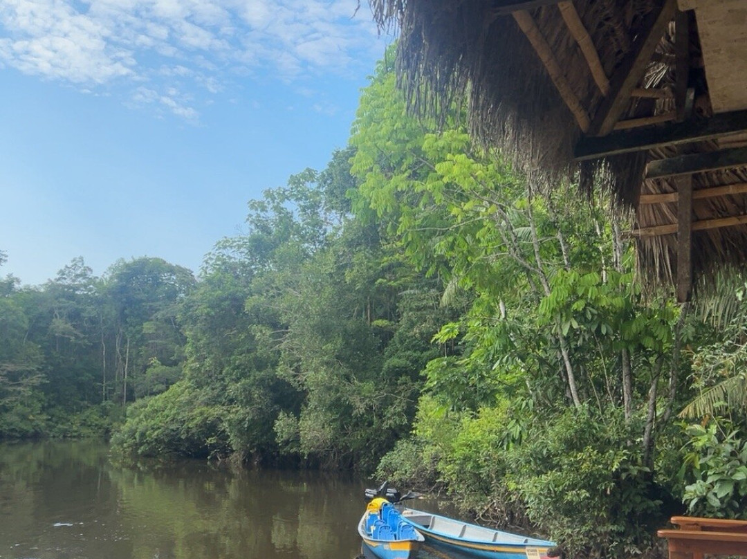 Cuyabeno Dolphin Lodge-Cuyabeno Wildlife Reserve必去景点