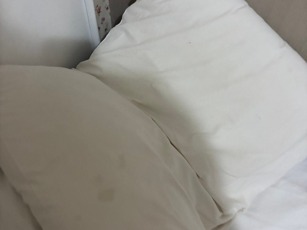 Hotel Saadet主图