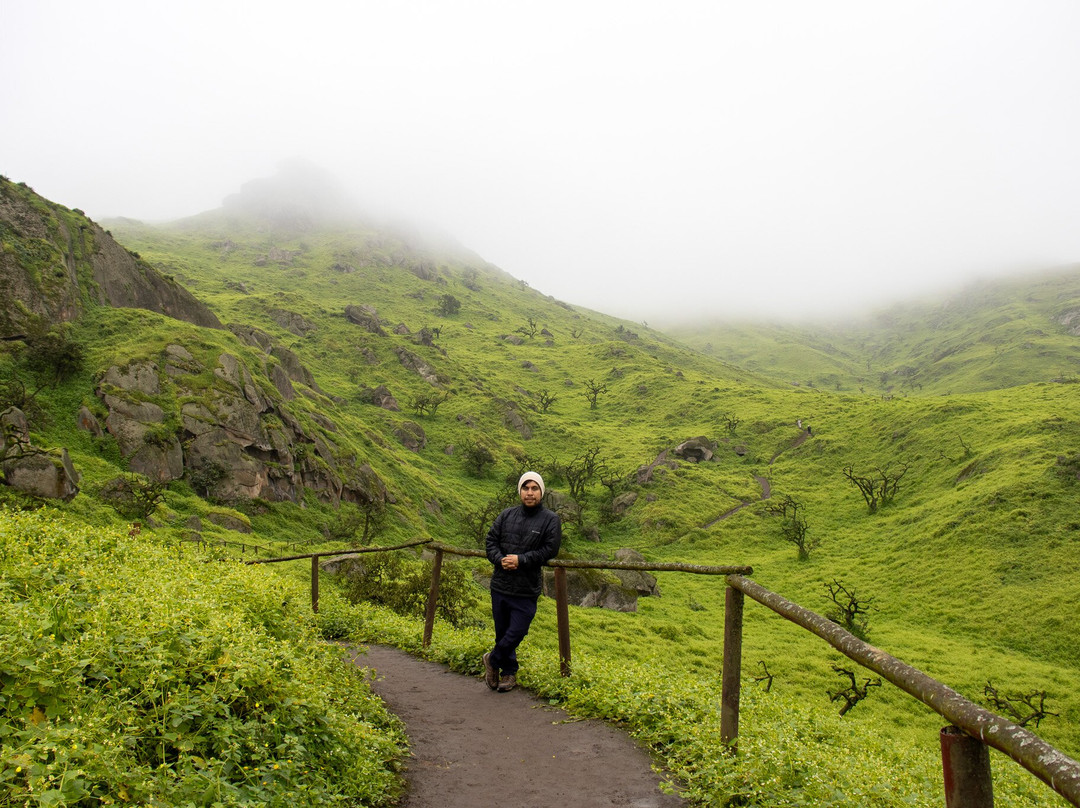 Reserva Nacional Lomas de Lachay-Huaral必去景点