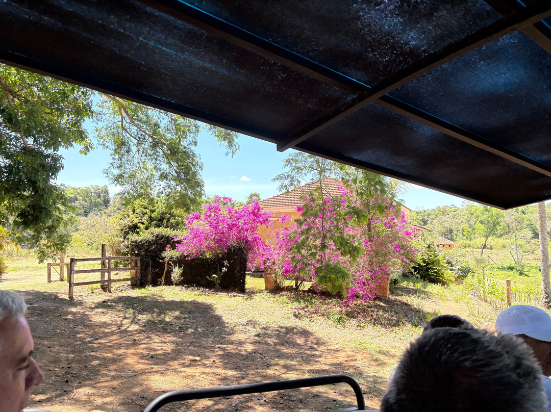 InnVernia-Espirito Santo Do Pinhal必去景点