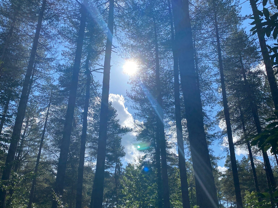 Sherwood Pines-Mansfield必去景点