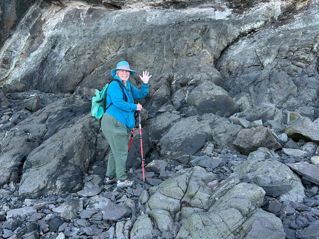 Fundy Treasure Tours-Joggins必去景点