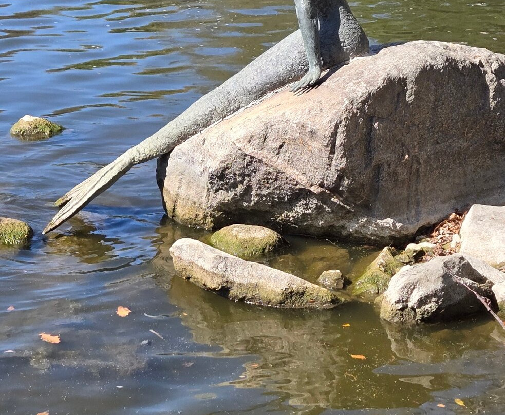 Fountain Lake Mermaid-Albert Lea必去景点