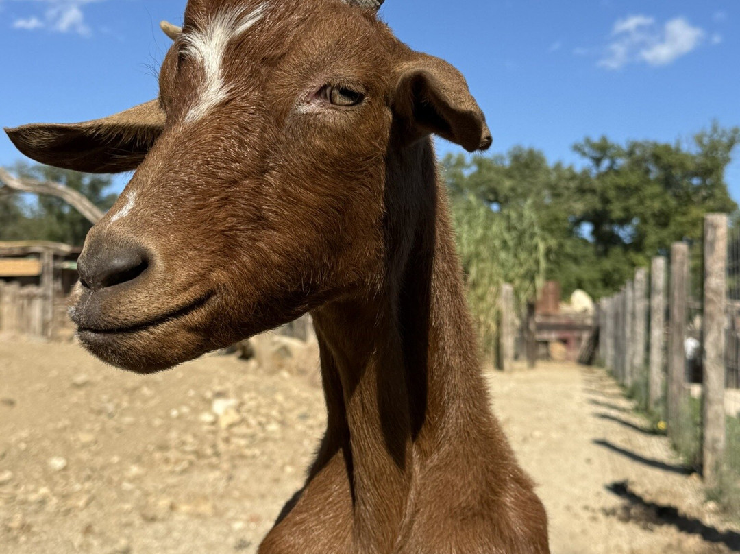 La Mène-格里莫必去景点