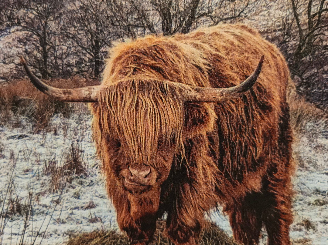 More in Moray Tours and Transport-因弗内斯必去景点