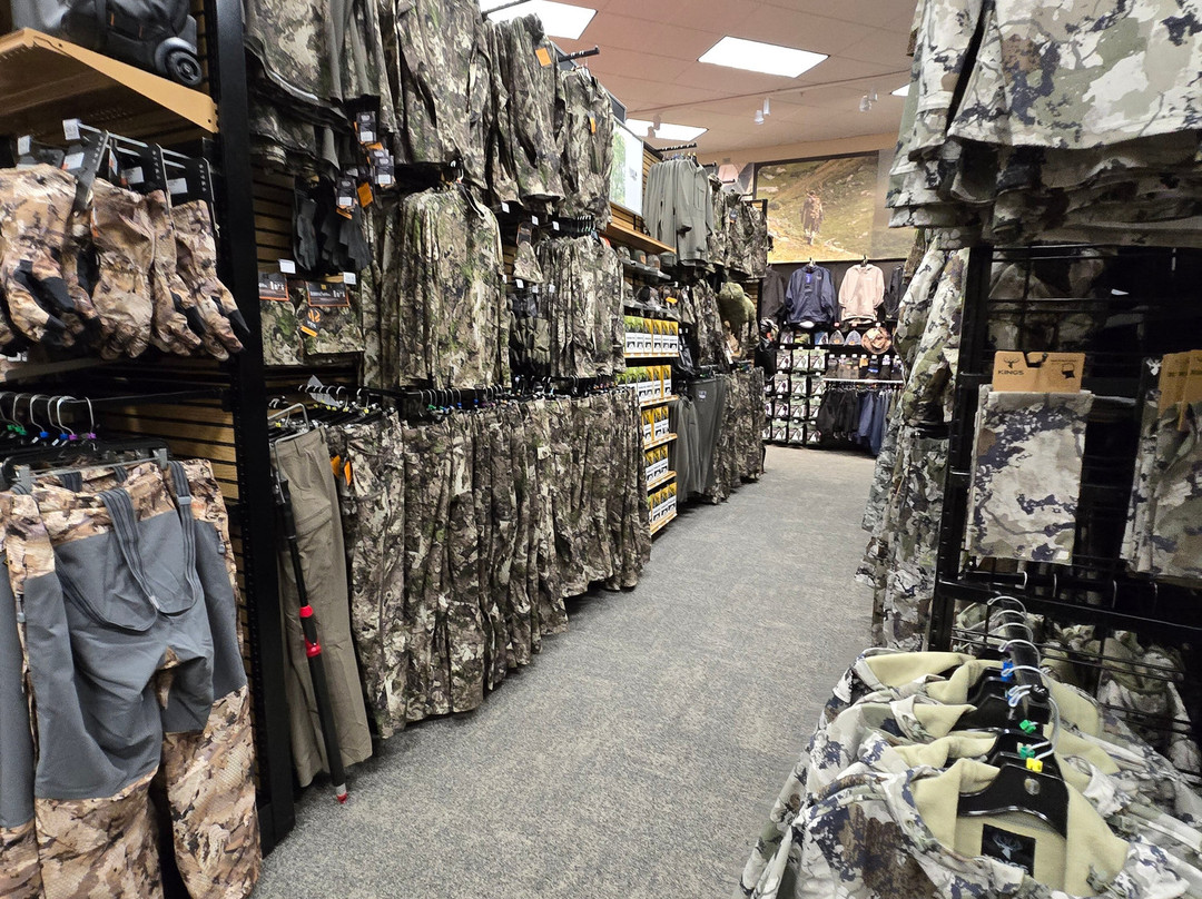 Scheels-比灵斯必去景点