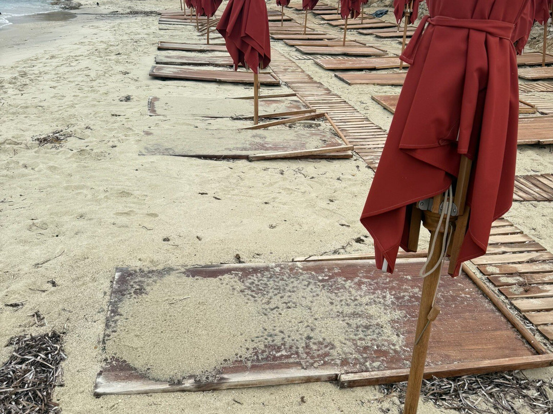 The Coast Bill&coo主图