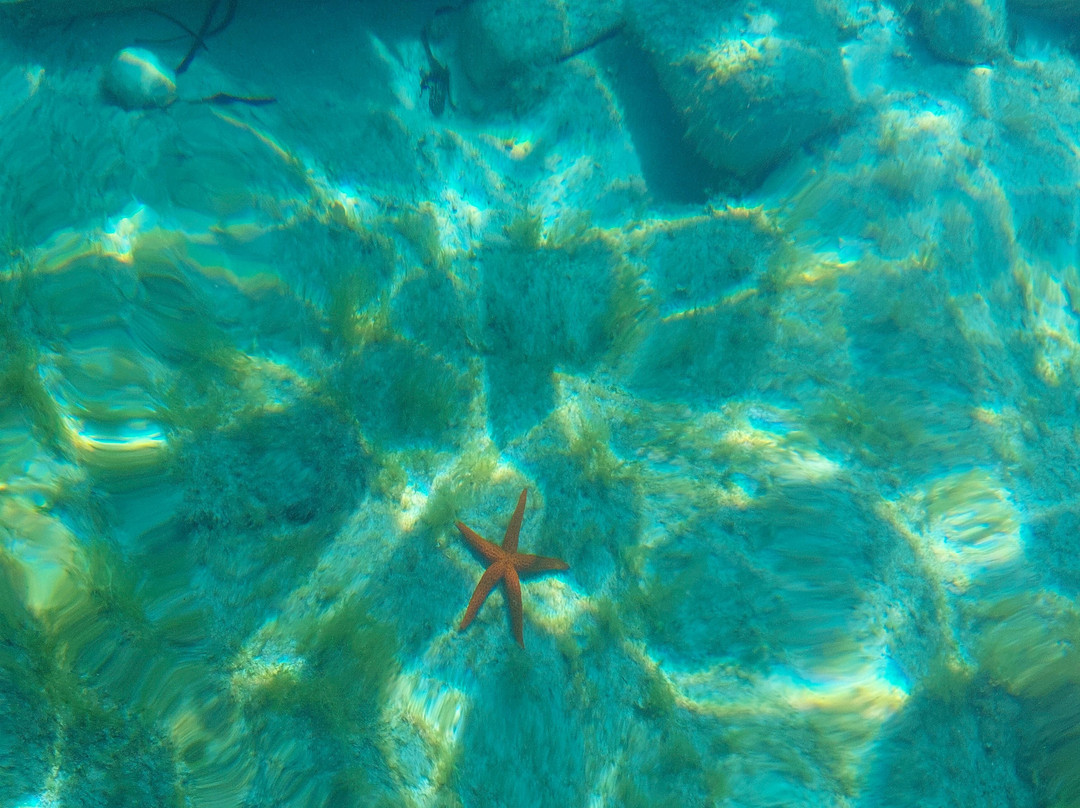 Korcula Waterfront Accommodation主图