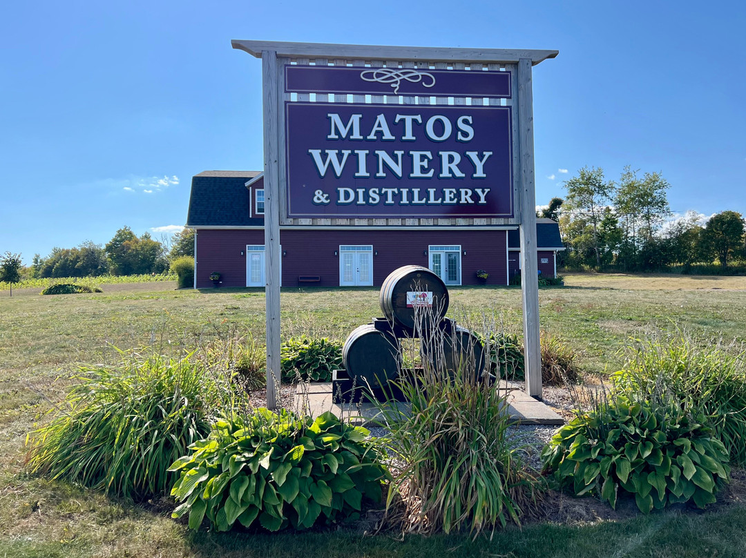 Matos Winery & Distillery-St. Catherines必去景点