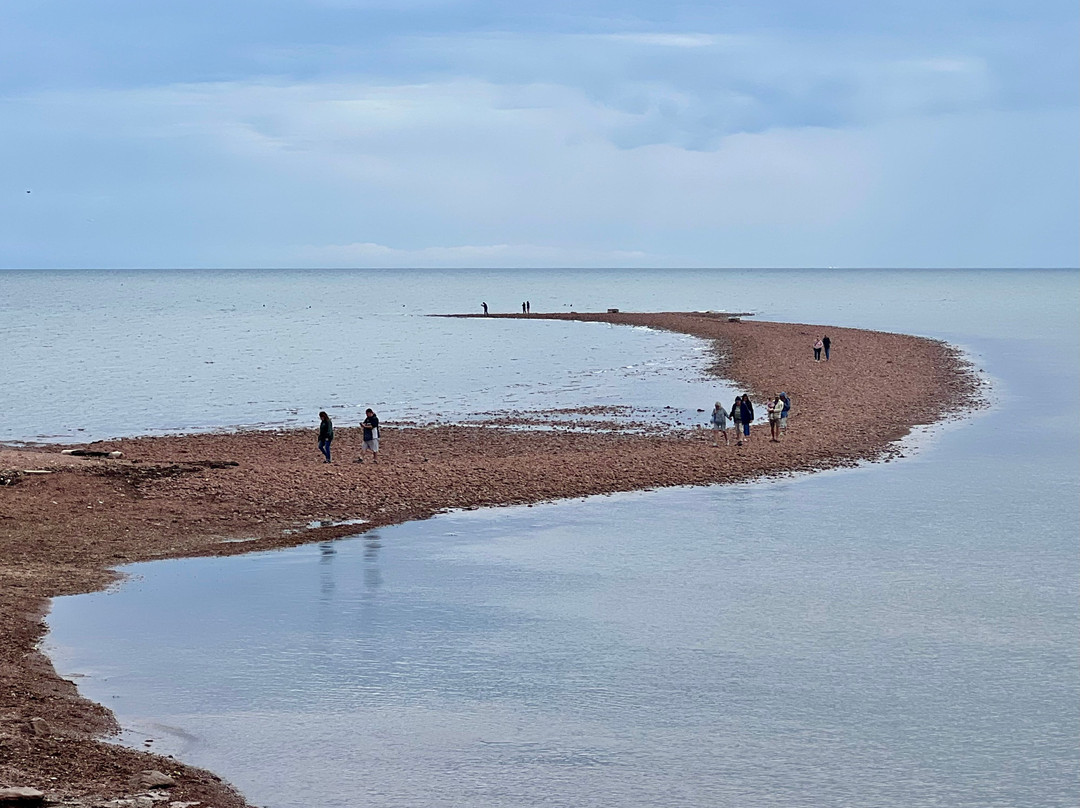 North Cape Lighthouse-Seacow Pond必去景点