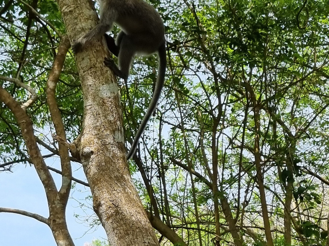 Bukit Pandawa Golf & Country Club-库塔必去景点