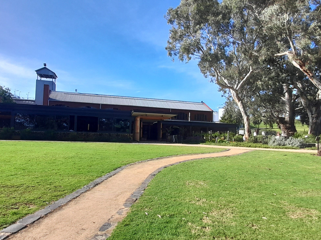 Wirra Wirra Vineyards-麦克拉伦谷必去景点