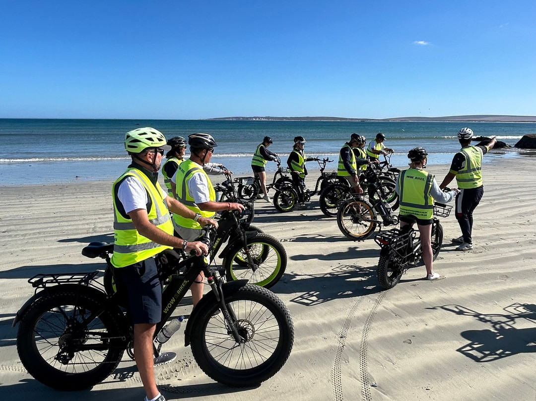 Wow E Bikes - Paternoster, Westcap, Za