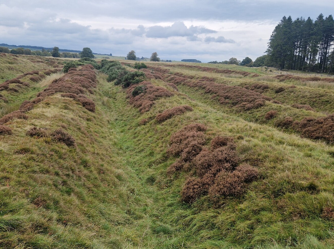 Ardoch Roman Fort-Braco必去景点
