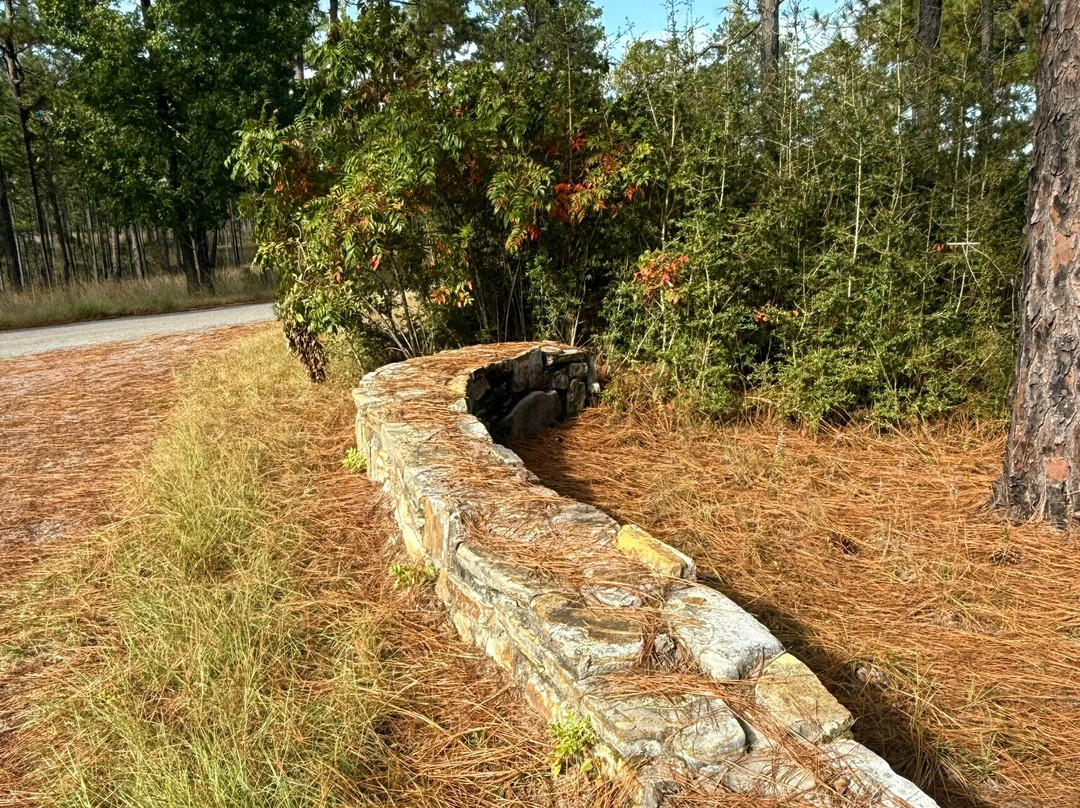 Kisatchie National Forest-Provencal必去景点