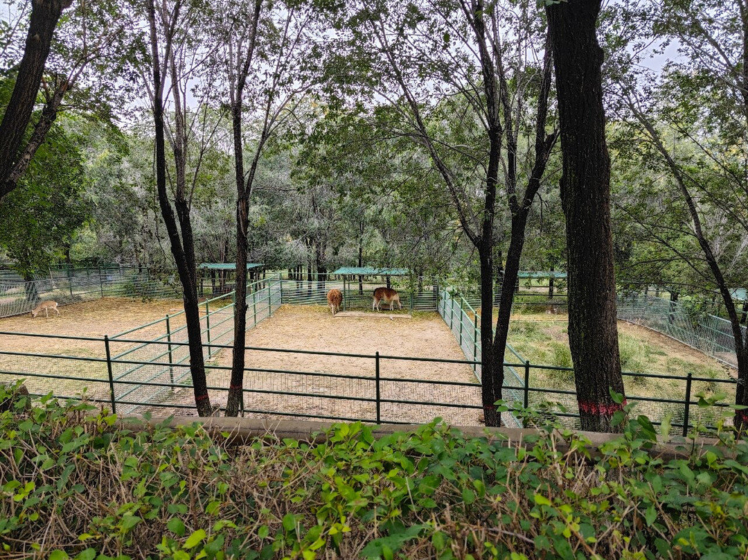 青藏高原野生动物园-西宁市必去景点