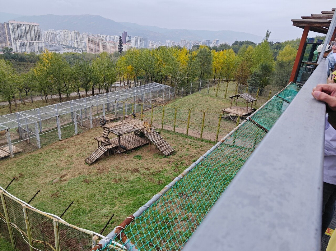 青藏高原野生动物园-西宁市必去景点