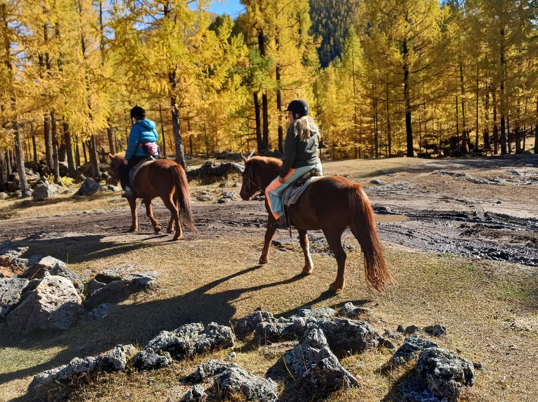 True Mongolia Travel-乌兰巴托必去景点