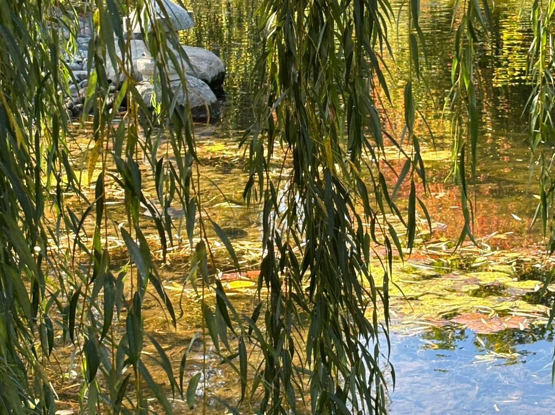Wellfield Botanic Gardens-埃尔克哈特必去景点