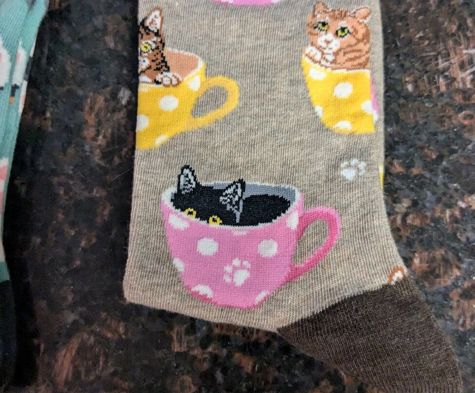 Smoky Mountain Cat House-皮金福奇必去景点