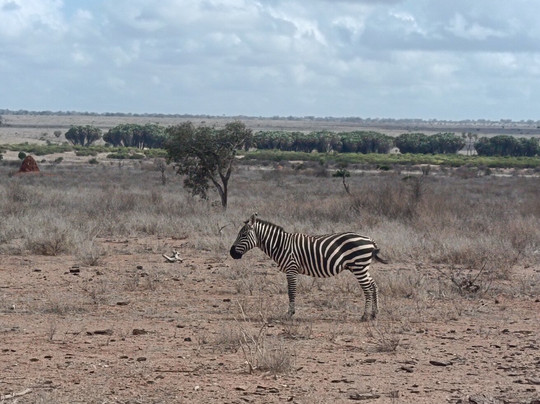 Filippo Bassa Marea-瓦塔木必去景点