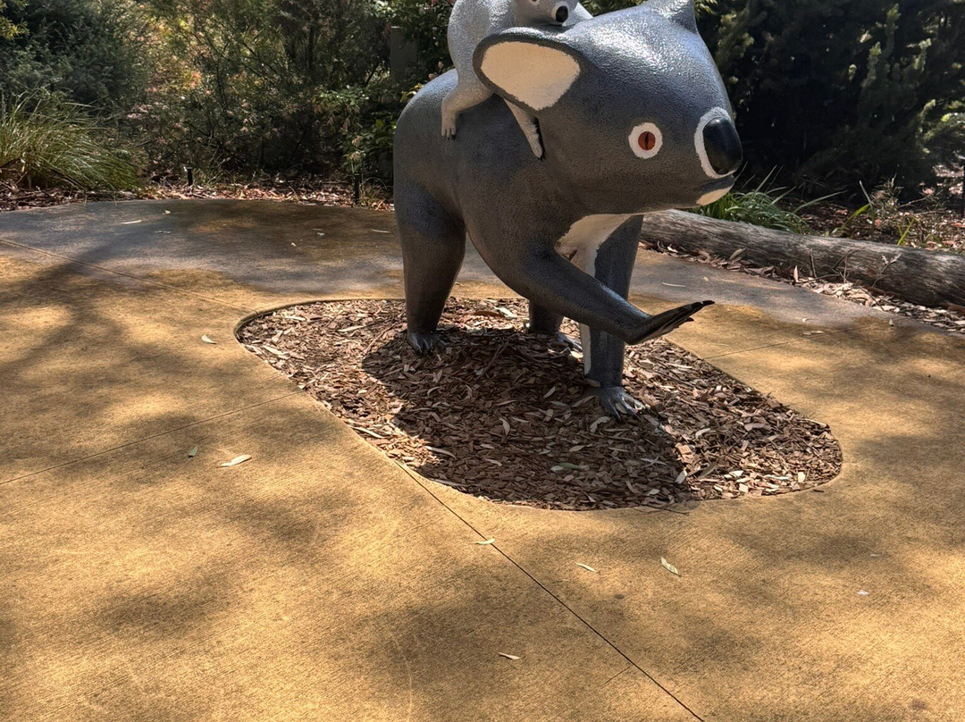 Port Stephens Koala Sanctuary-One Mile必去景点