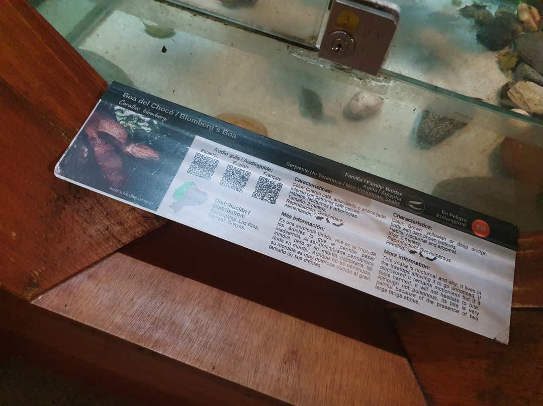 Vivarium de Quito-基多必去景点