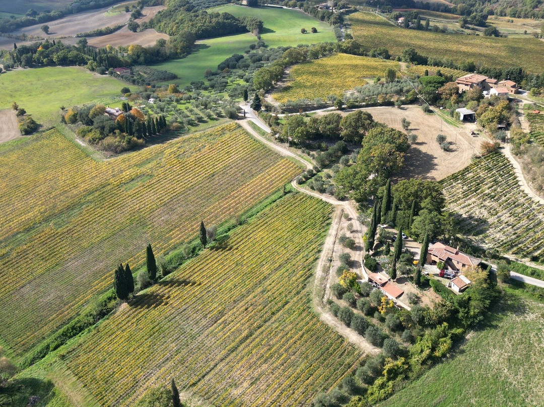 San Bartolomeo Winery-Bivio di San Biagio必去景点