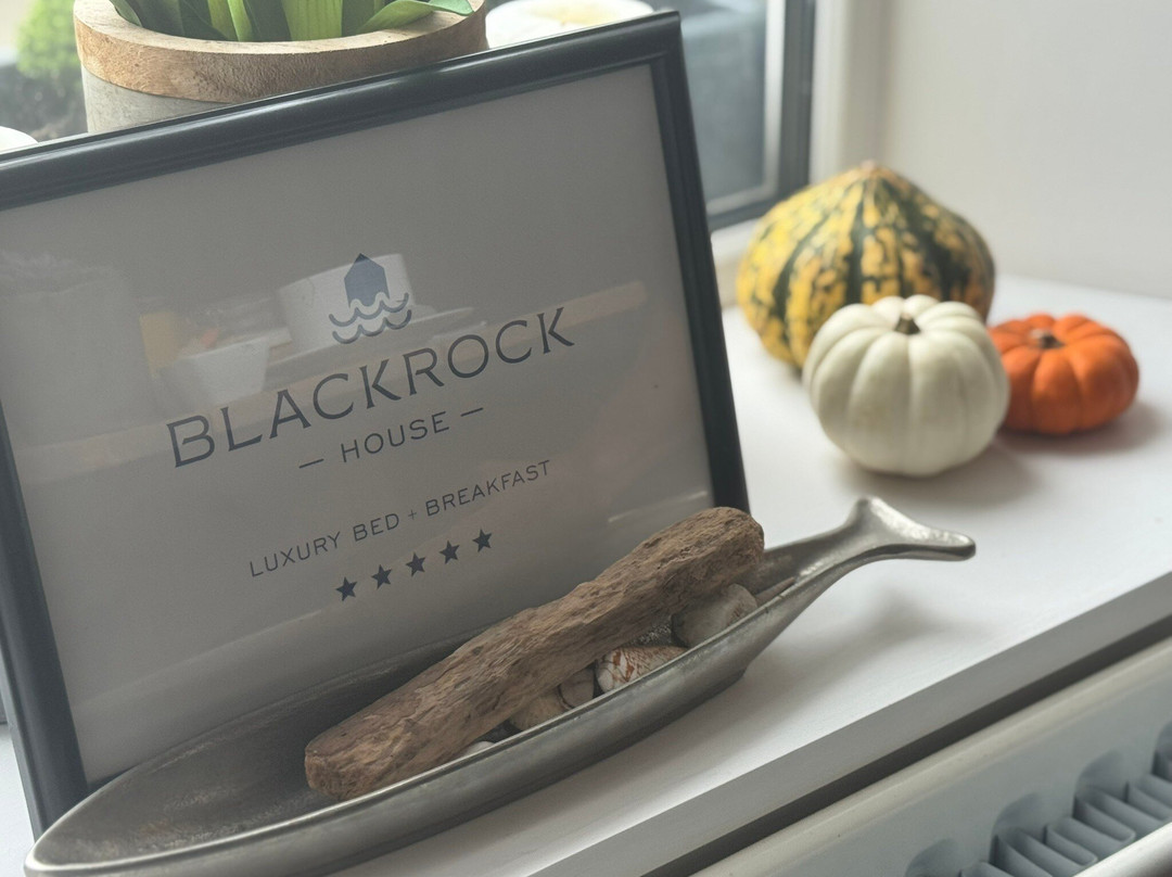 Blackrock House主图