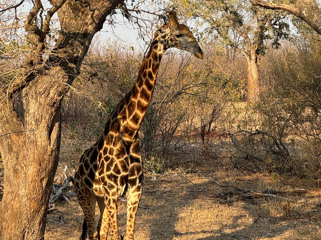 KPS Safaris & Tours-伐拉博瓦必去景点