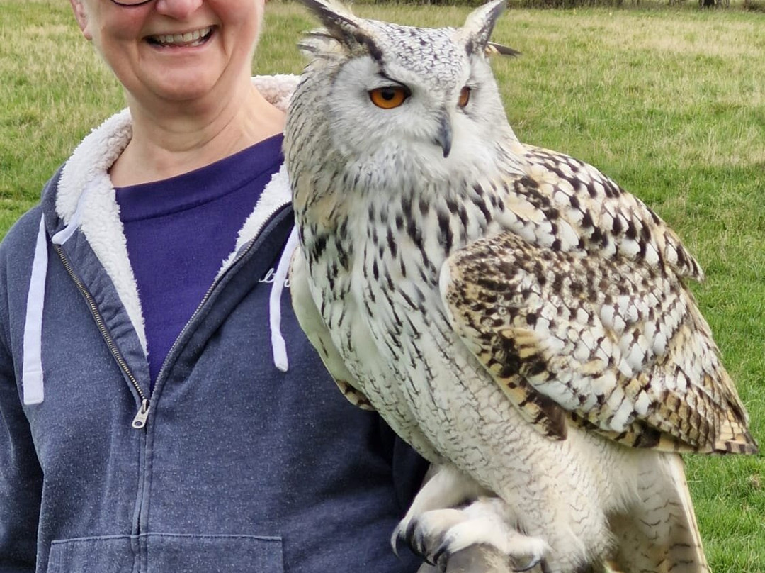 UK Owl And Raptor Centre-Groombridge必去景点