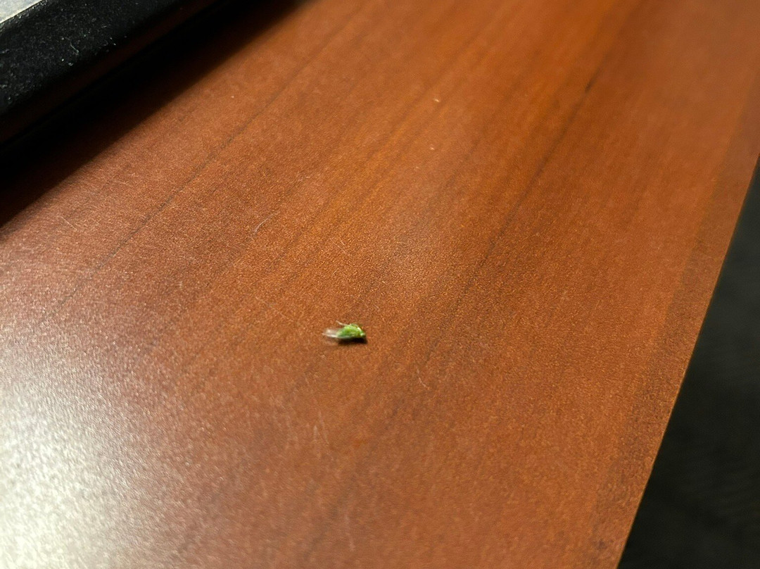 Courtyard by Marriott St. Louis Westport Plaza主图