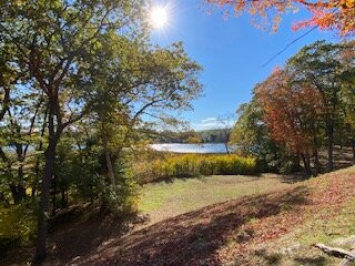 Laurel Hill Cemetery
