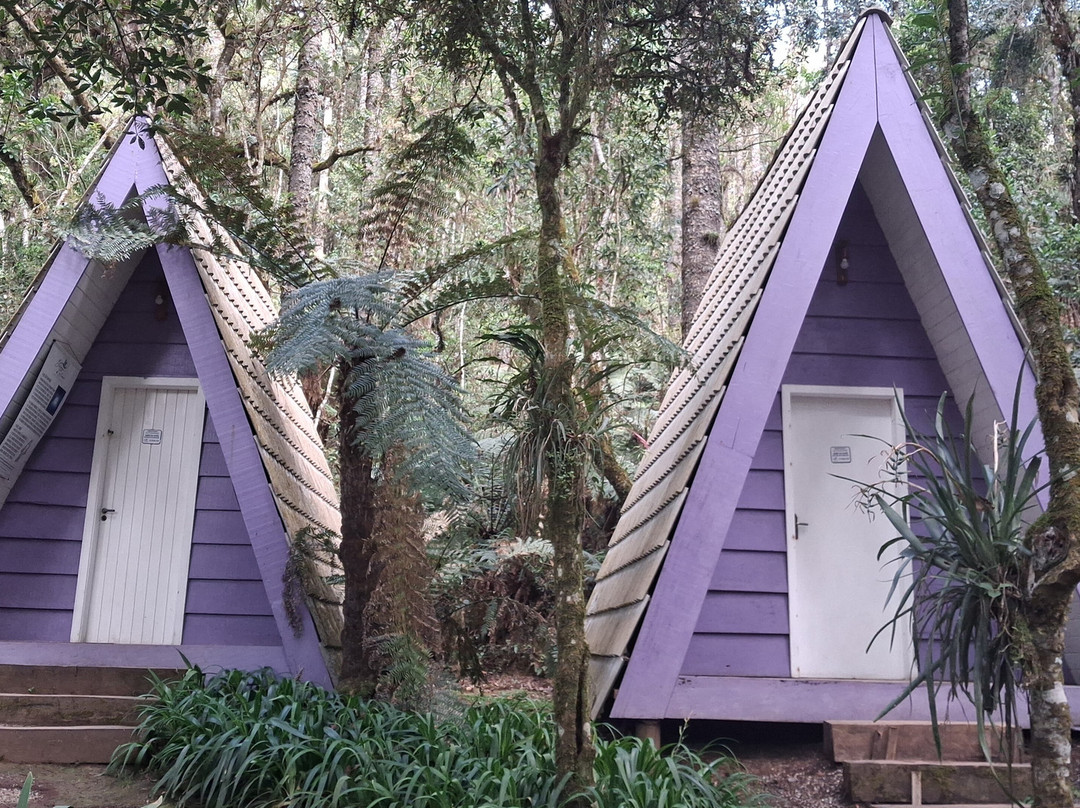 Bosque do Silêncio-坎普斯－杜若尔当必去景点