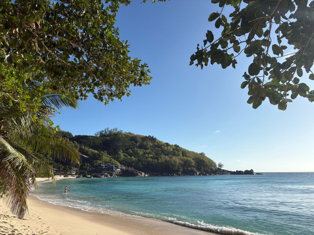 Chalets Des Vacances