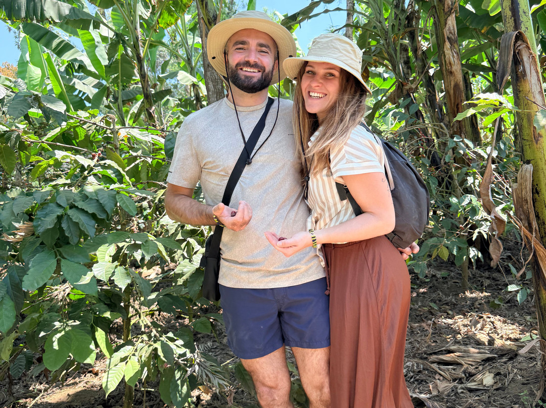 Mangalia Waterfalls-阿鲁沙必去景点