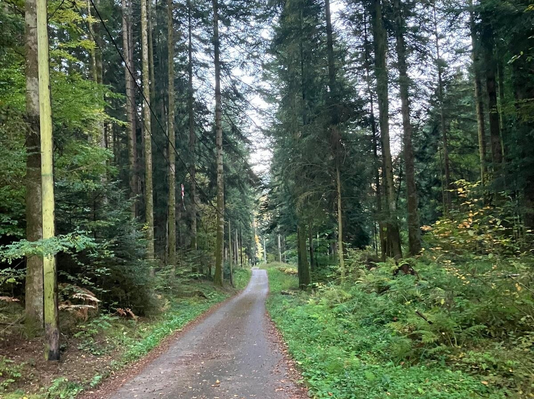 Village Cap France La Bolle - Vosges主图