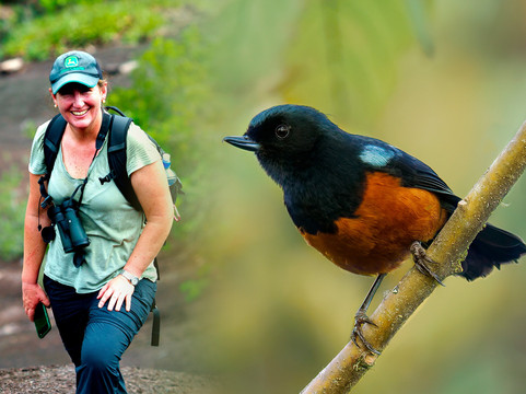 Birds & Wildlife Photography Tour in Colombia’s Coffee Region RETORNO Photo Tours