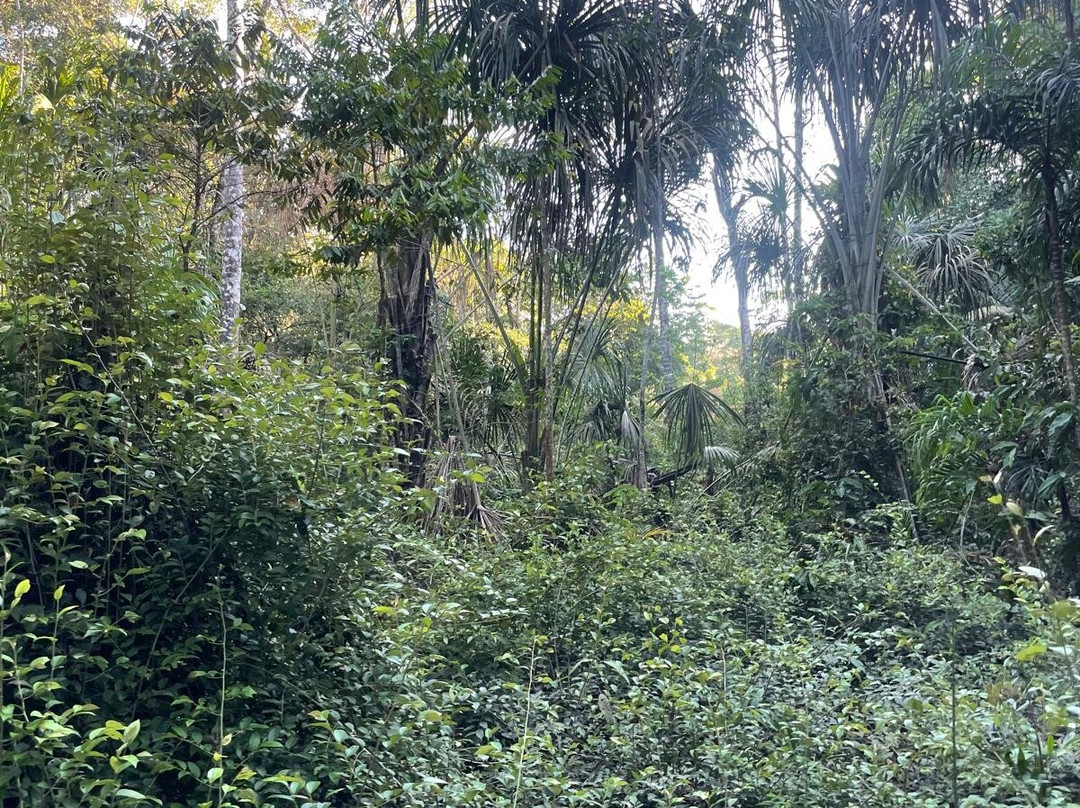 Equator Expeditions-Nayon必去景点