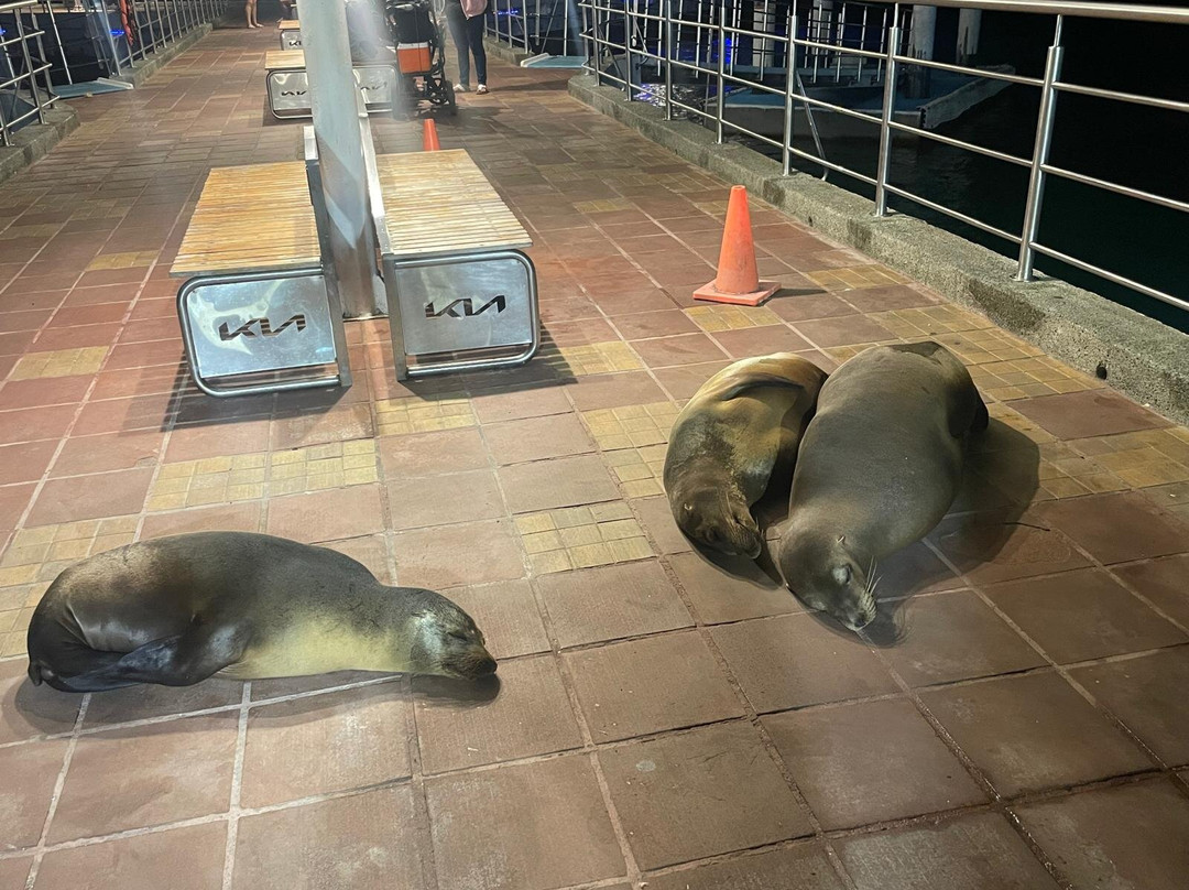 Equator Expeditions-Nayon必去景点