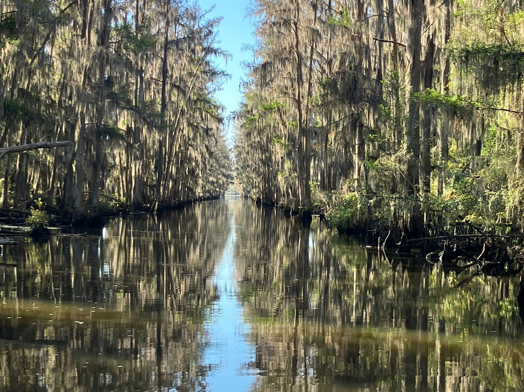 White Oak Manor Bed and Breakfast主图