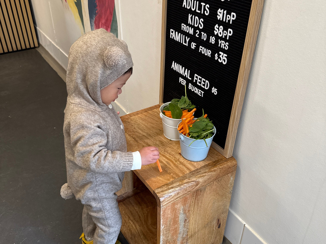 Scoops Farm-玛格丽特河必去景点