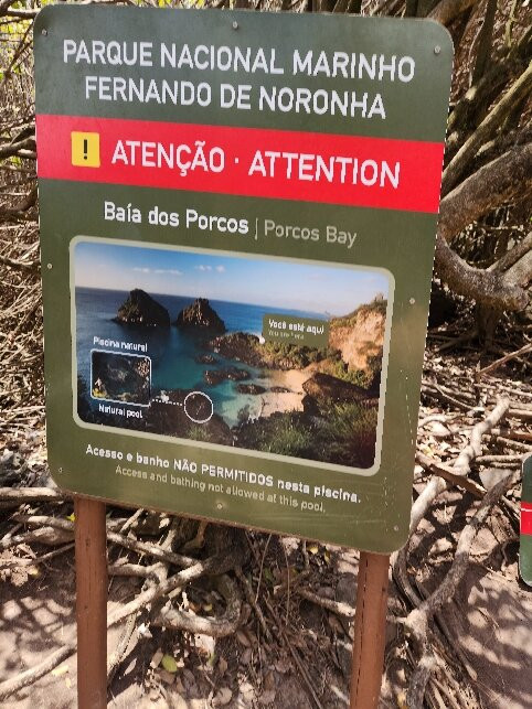 Baia dos Porcos-费尔南多-迪诺罗尼亚群岛必去景点