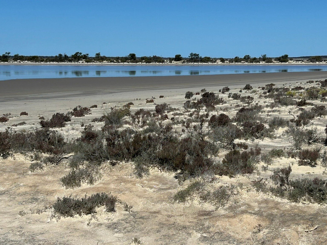 Lake King Nature Reserve-Lake King必去景点