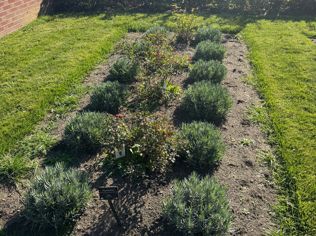 Glensheen - The Historic Congdon Estate-德卢斯必去景点