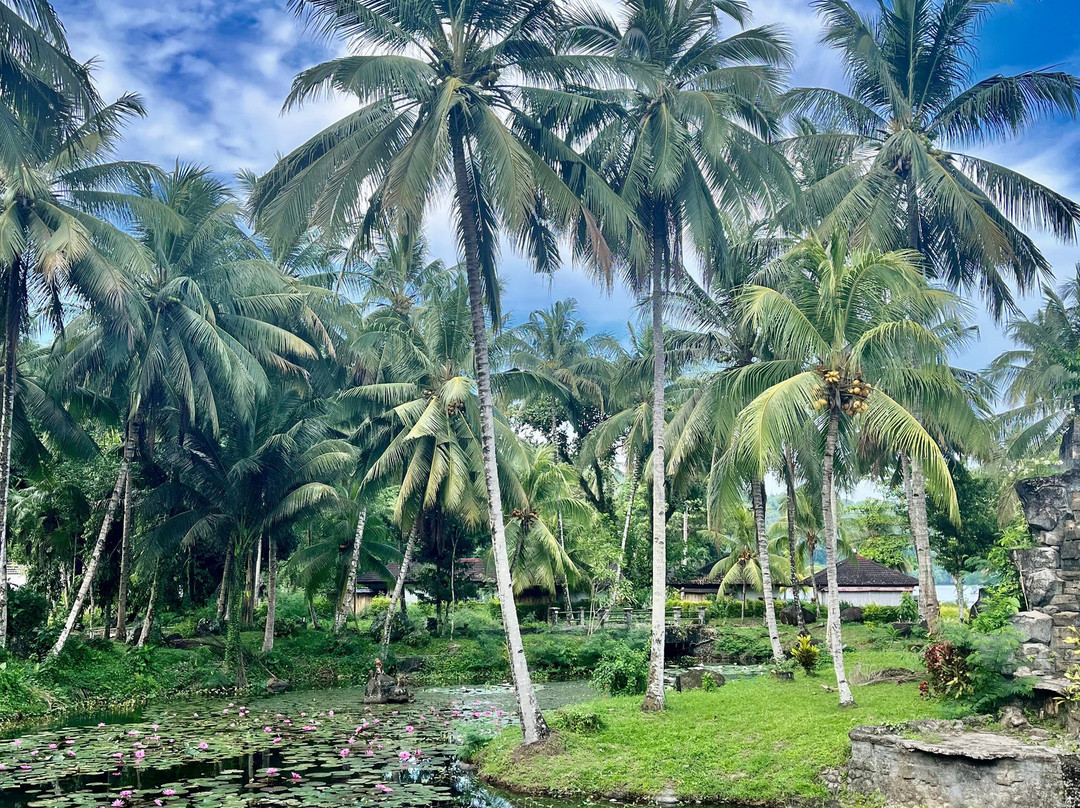 塔斯克利雅度假酒店主图