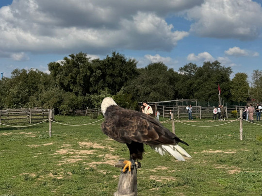 Roma World-罗马必去景点